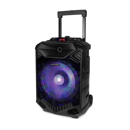 Party Wireless Speaker DailySale