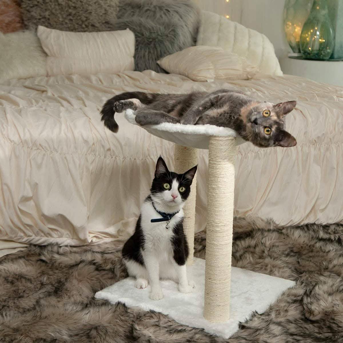 Paws & Pals 3-in-1 Cat Scratching Post with Hammock and Toy DailySale