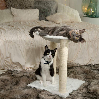 Paws & Pals 3-in-1 Cat Scratching Post with Hammock and Toy DailySale