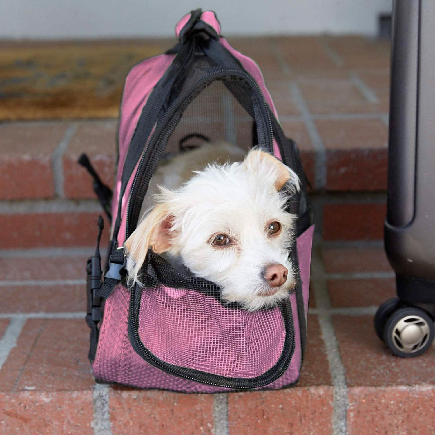 Paws & Pals Airline Approved Soft Sided Pet Carrier DailySale