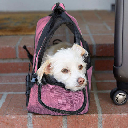 Paws & Pals Airline Approved Soft Sided Pet Carrier DailySale