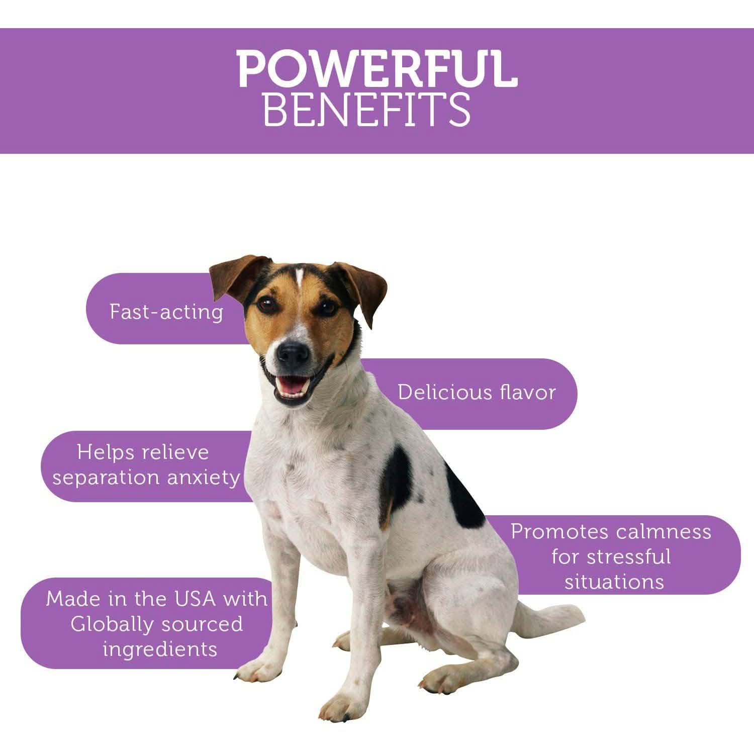 Paws & Pals Dog Calming Treats - Pet Anti Anxiety Supplement DailySale