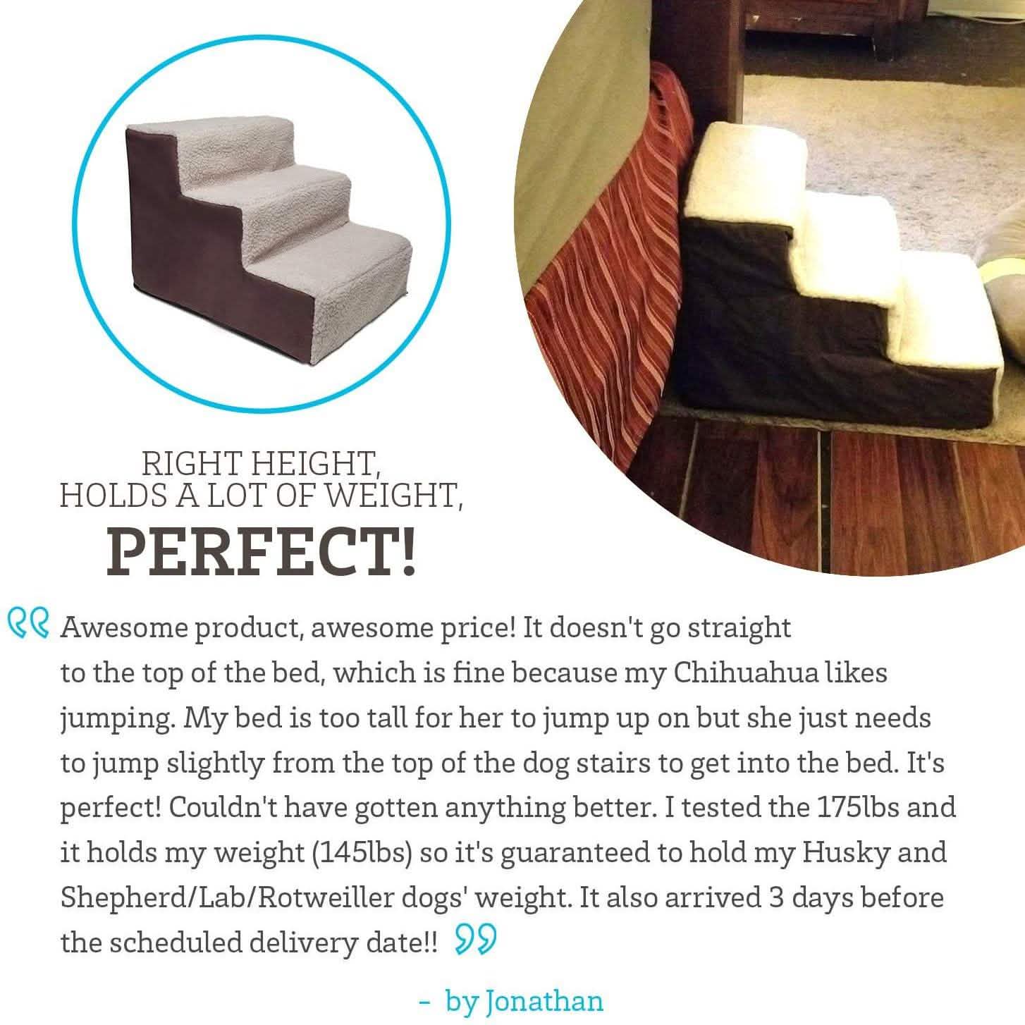 Paws & Pals Padded Pet Stairs DailySale