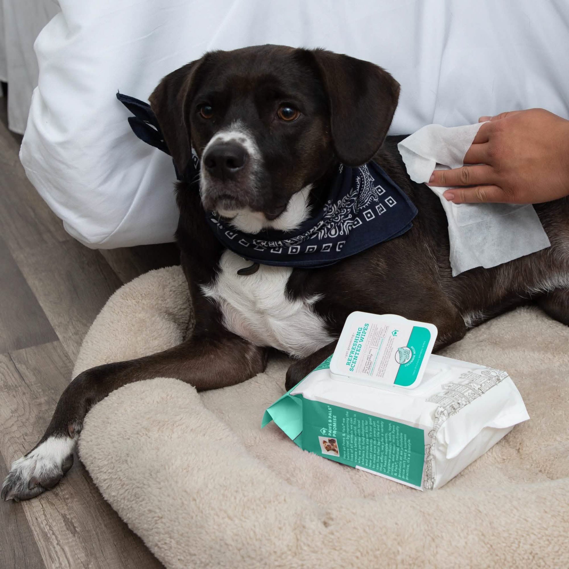 Paws & Pals Pet Grooming Wipes Hypo-Allergenic Cleansing and Deodorizing DailySale