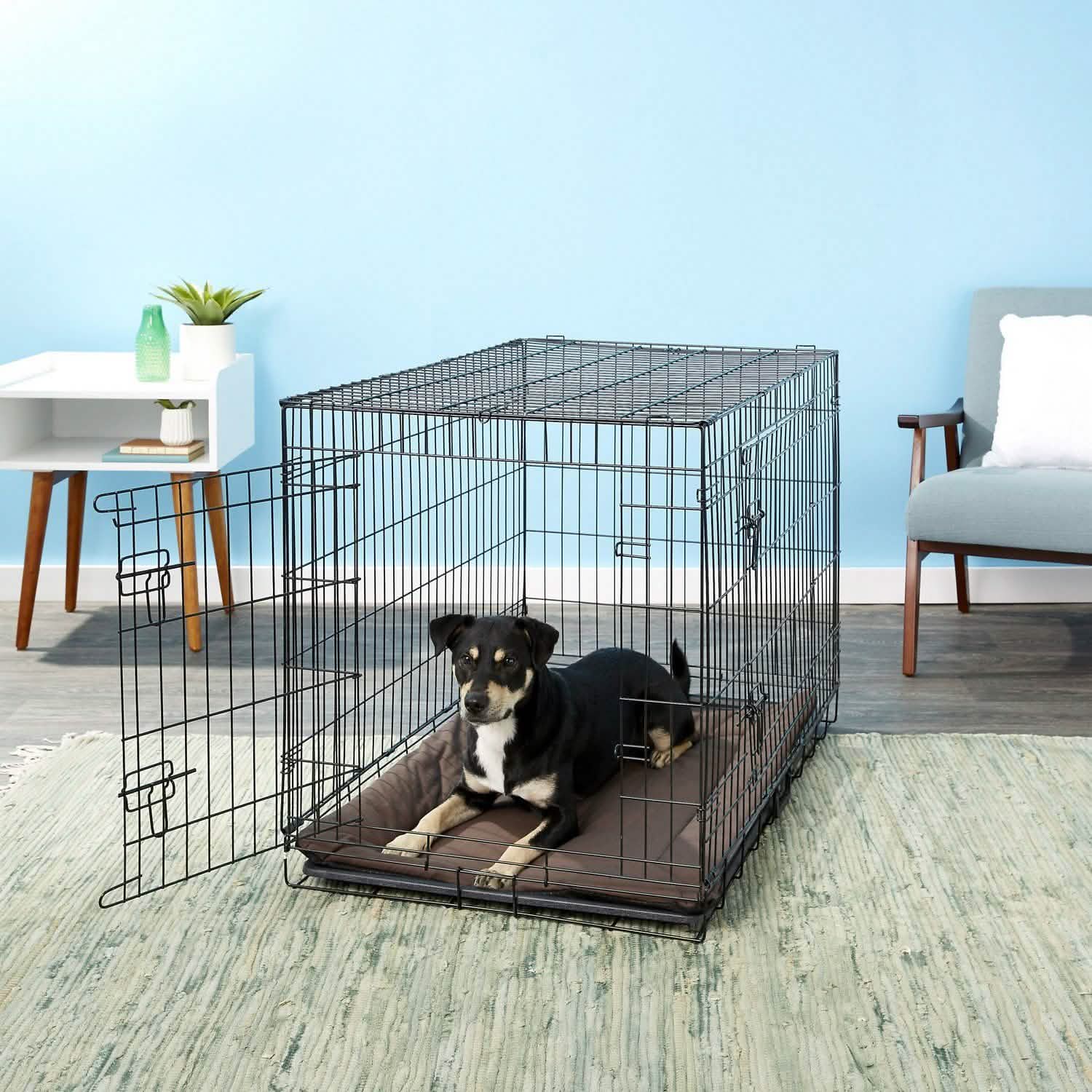 Paws & Pals Self-Warming Dog Crate Mat DailySale
