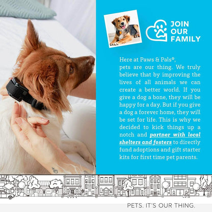 Paws & Pals Shock Collar for Dogs DailySale