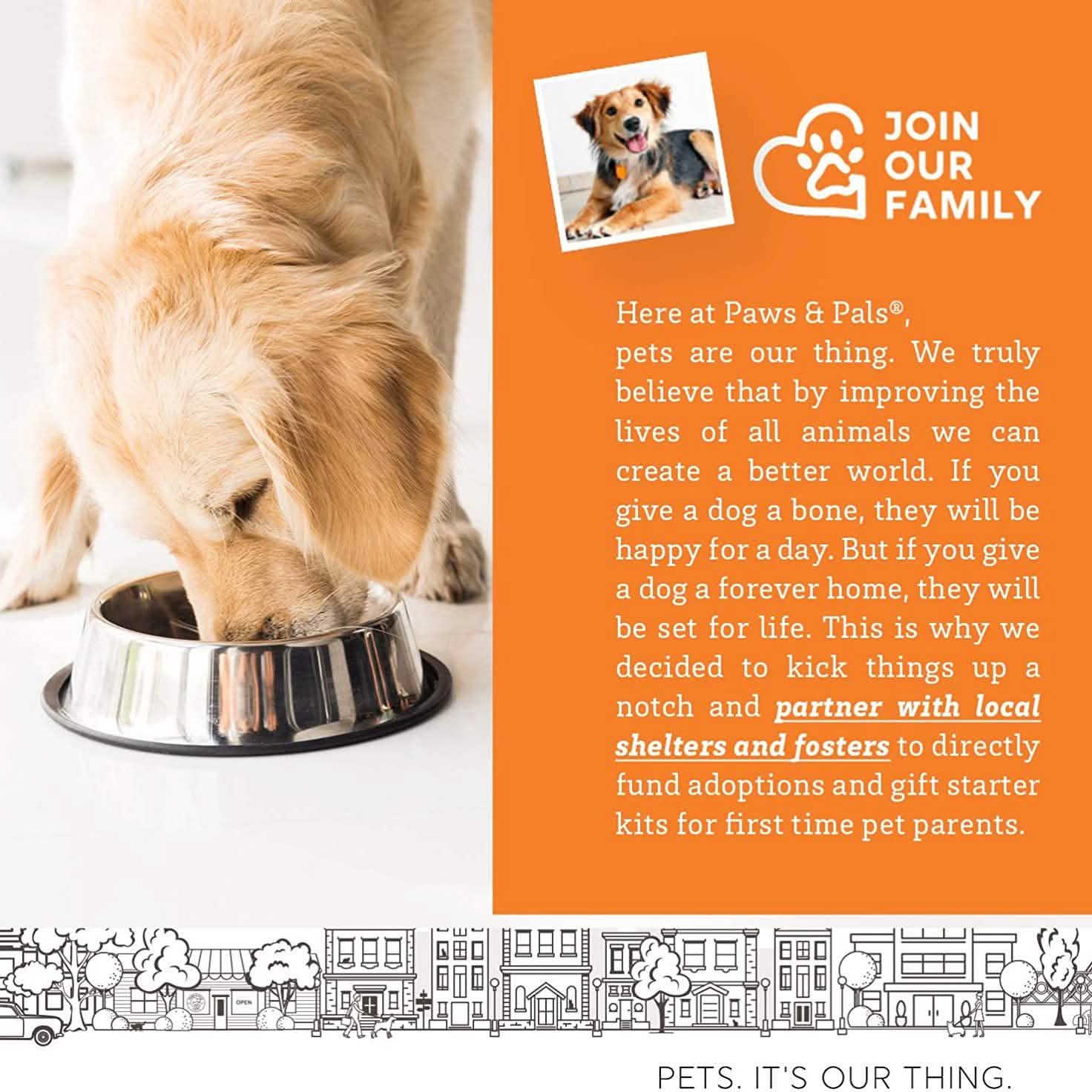 Paws & Pals Wild Alaskan Salmon Oil for Dogs and Cats - 32oz DailySale
