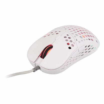 PC Gaming Starter Kit DailySale