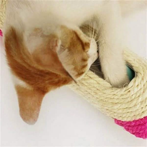 Pet Cat Rolling Sisal Scratching Post Trapped With 3 Ball Training Novely Toy DailySale
