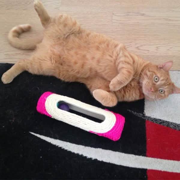 Pet Cat Rolling Sisal Scratching Post Trapped With 3 Ball Training Novely Toy DailySale