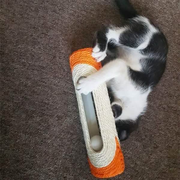 Pet Cat Rolling Sisal Scratching Post Trapped With 3 Ball Training Novely Toy DailySale