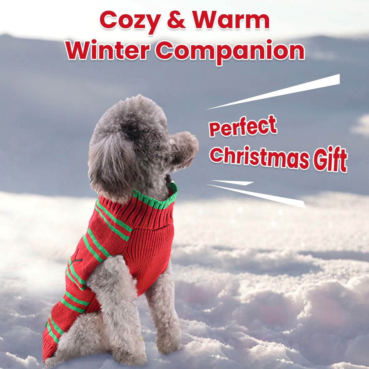 Pet Christmas Turtleneck Sweater DailySale