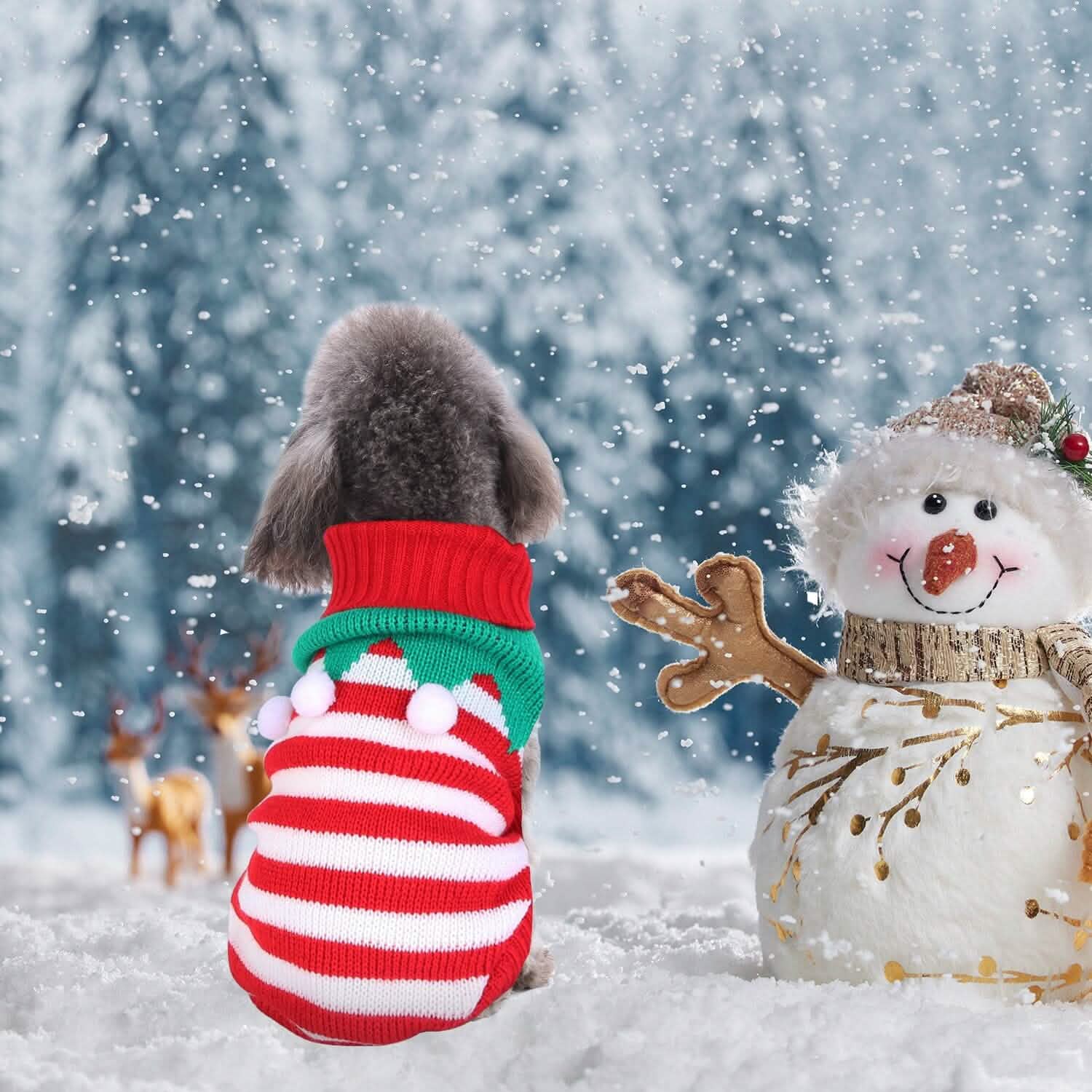 Pet Christmas Turtleneck Sweater DailySale