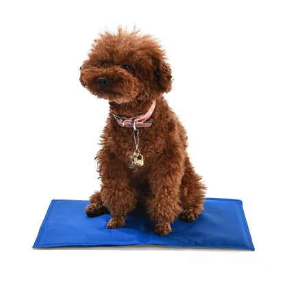 Pet Cooling Mat DailySale