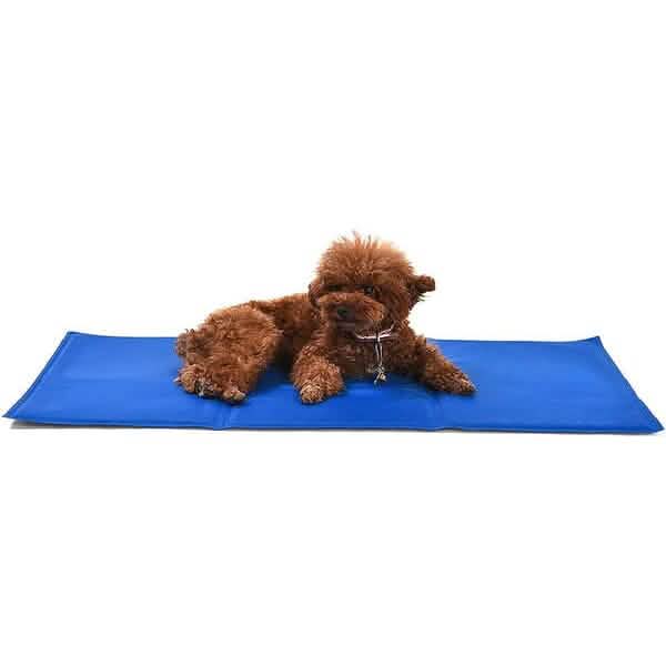 Pet Cooling Mat DailySale