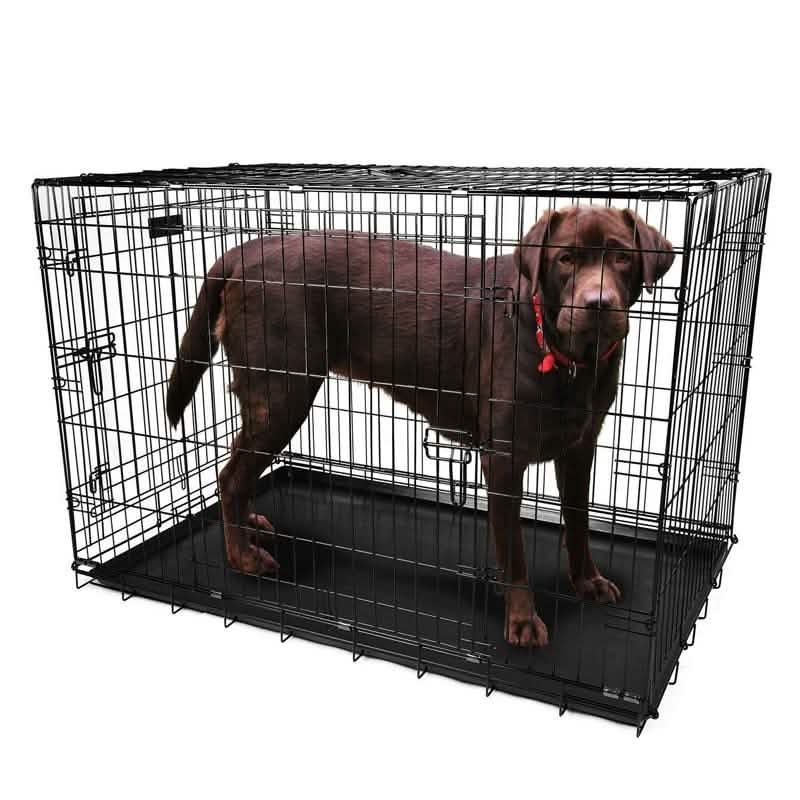 Pet Crates Folding Metal - Assorted Sizes DailySale