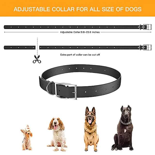 Pet Dog Shock Collar with Remote DailySale