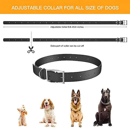 Pet Dog Shock Collar with Remote DailySale