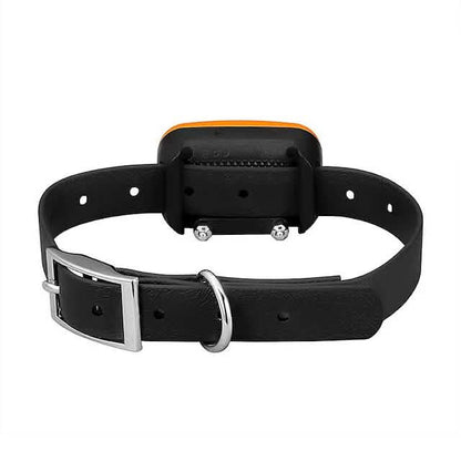 Pet Dog Shock Collar with Remote DailySale