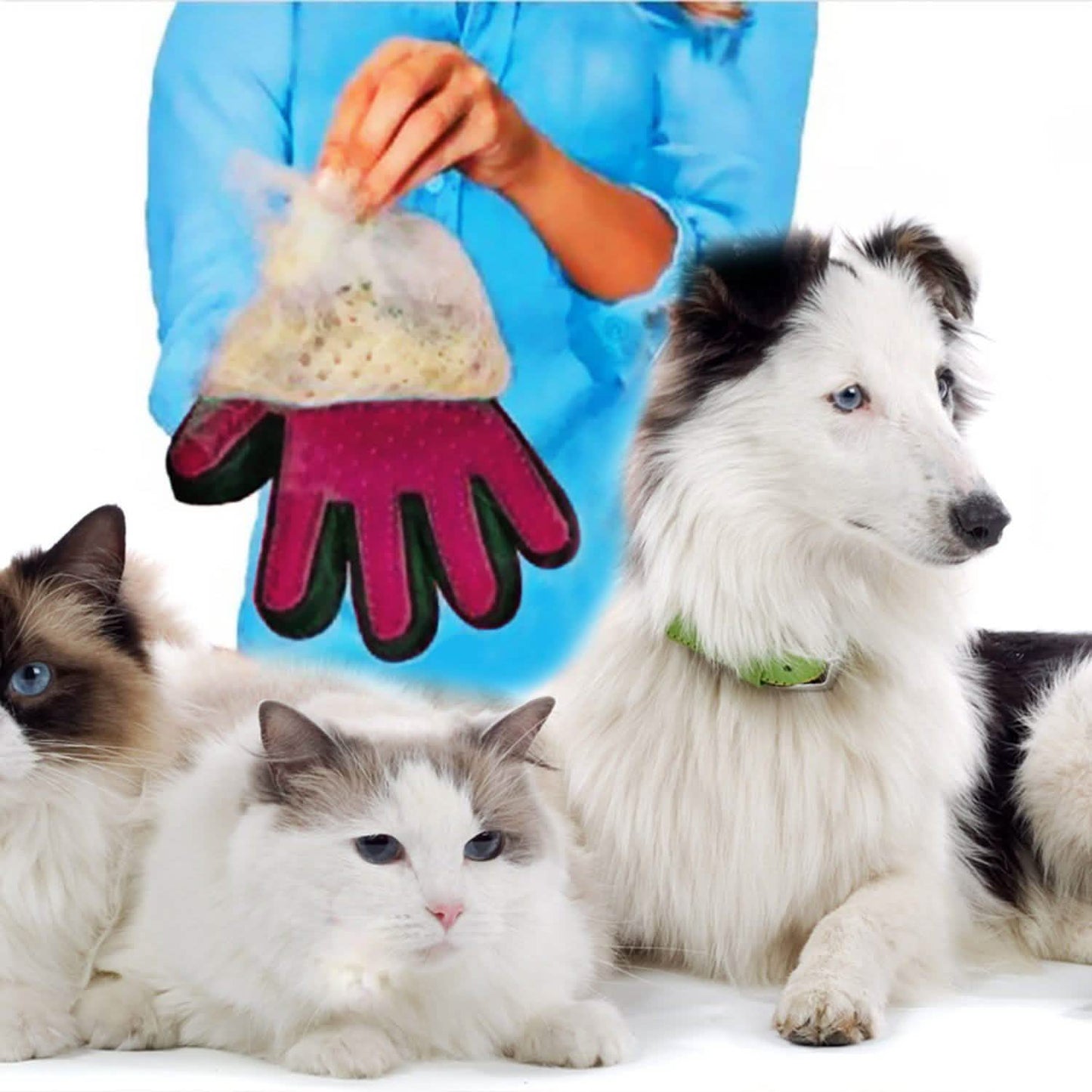 Pet Grooming Glove DailySale