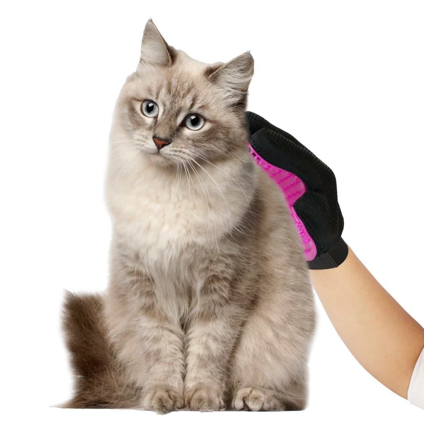 Pet Grooming Glove DailySale