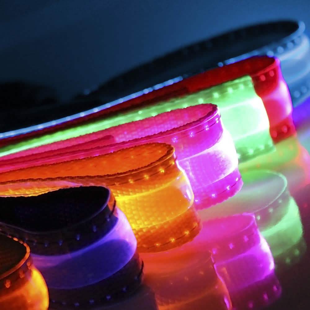 Pet LED Collar DailySale