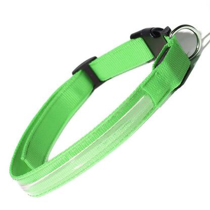 Pet LED Collar DailySale