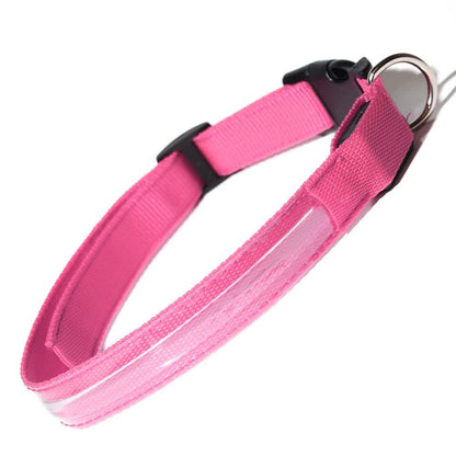 Pet LED Collar DailySale