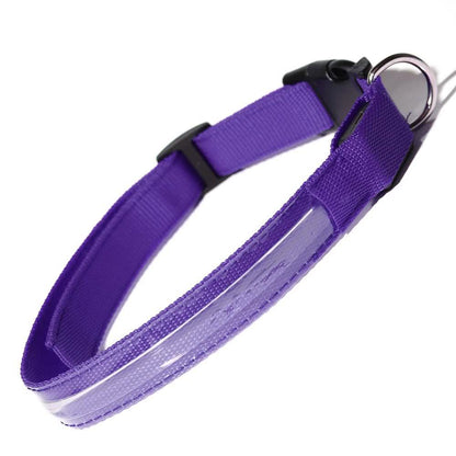 Pet LED Collar DailySale