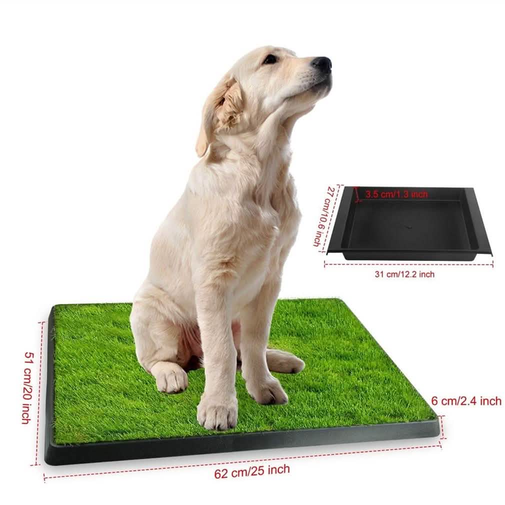 Pet Loo Portable Indoor/Outdoor Pet Potty DailySale