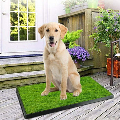 Pet Loo Portable Indoor/Outdoor Pet Potty DailySale