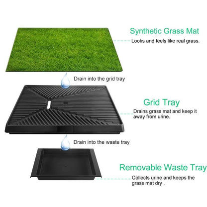 Pet Loo Portable Indoor/Outdoor Pet Potty DailySale