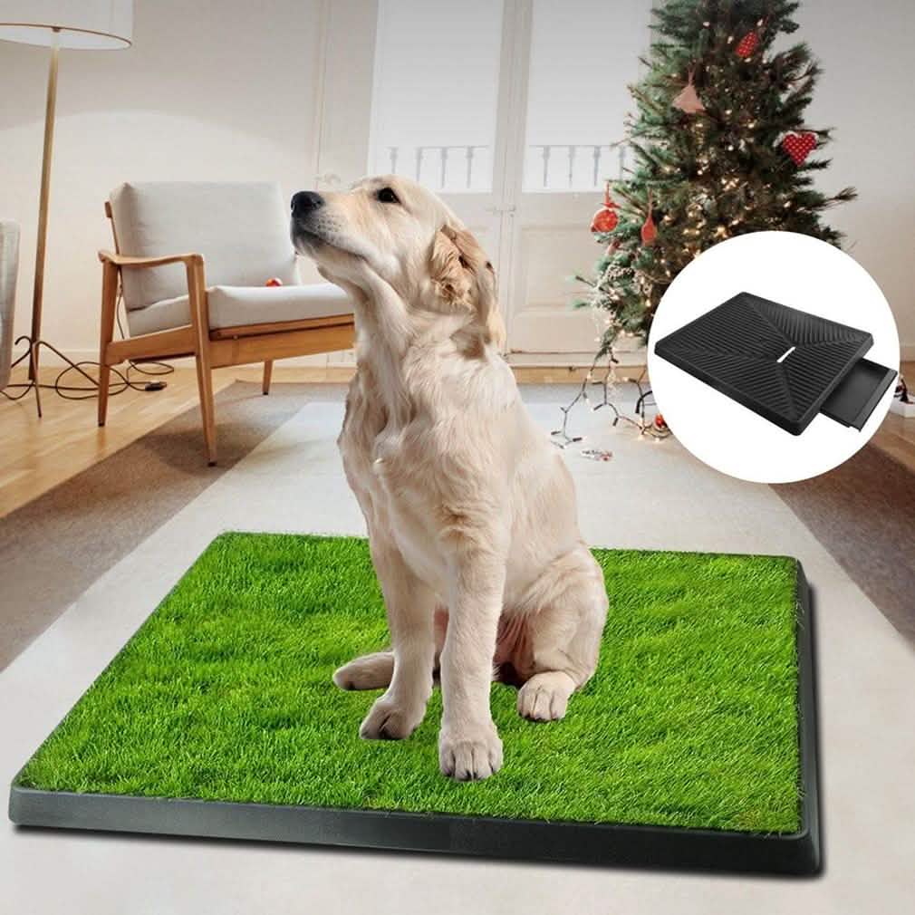Pet Loo Portable Indoor/Outdoor Pet Potty DailySale