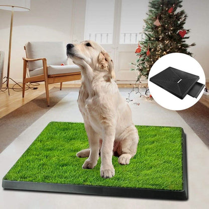 Pet Loo Portable Indoor/Outdoor Pet Potty DailySale