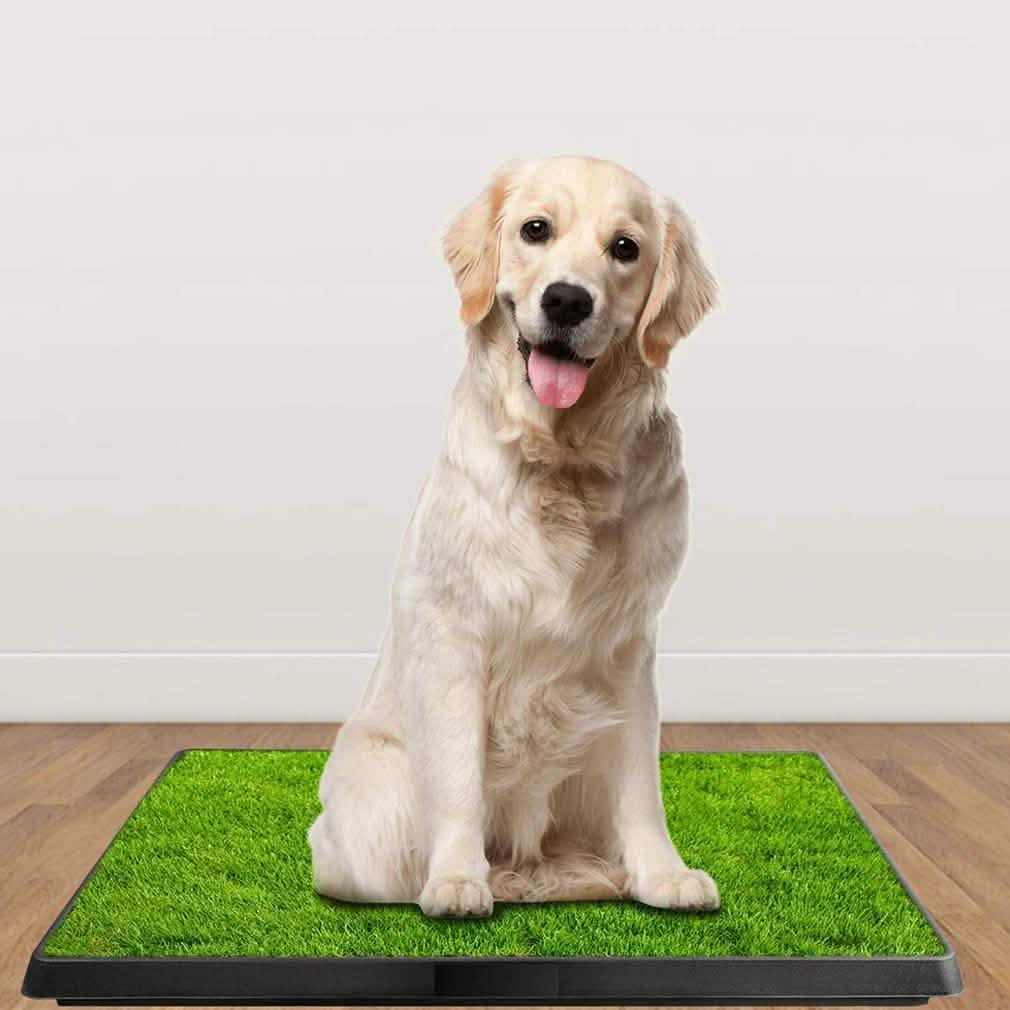 Pet Loo Portable Indoor/Outdoor Pet Potty DailySale