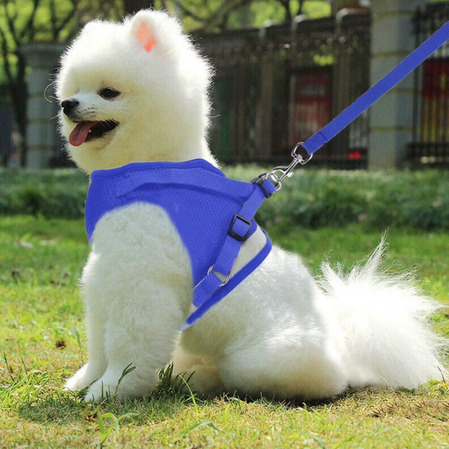 Pet Mesh Harness Dog Leash Puppy Vest DailySale