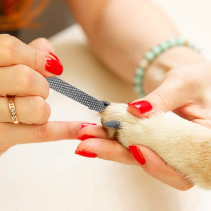 Pet Nail Trimmer  with Safety Guard to Avoid Over-Cutting Nails DailySale