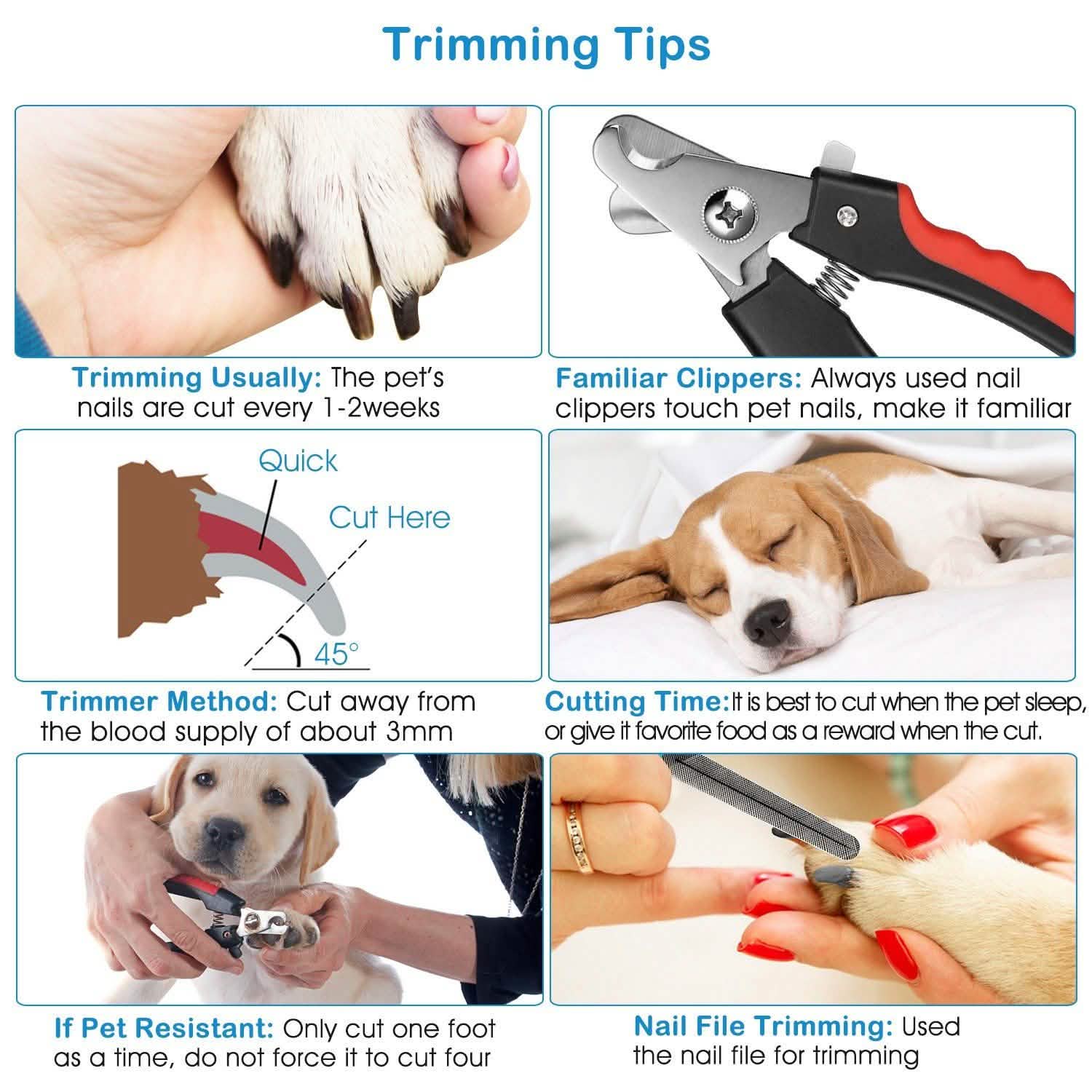 Pet Nail Trimmer  with Safety Guard to Avoid Over-Cutting Nails DailySale