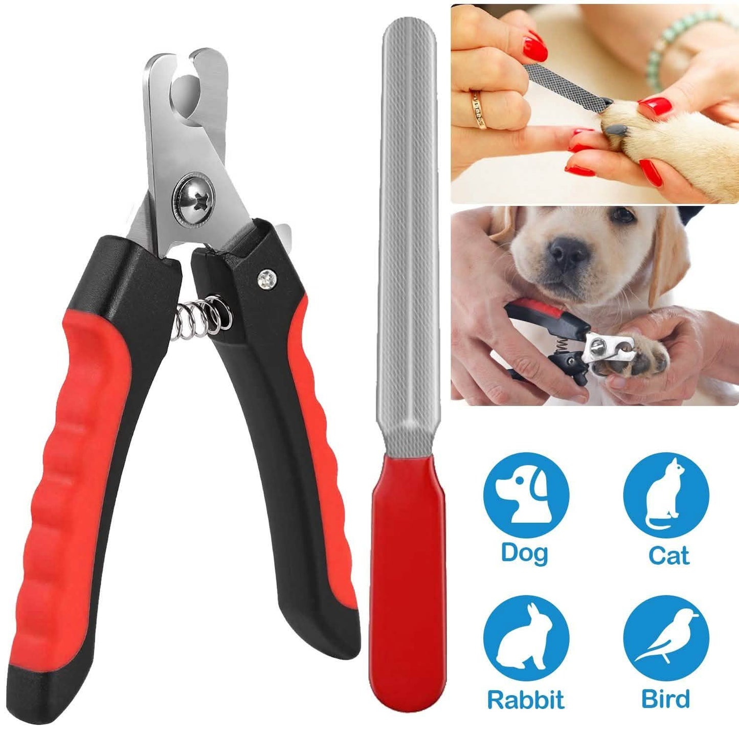 Pet Nail Trimmer  with Safety Guard to Avoid Over-Cutting Nails DailySale
