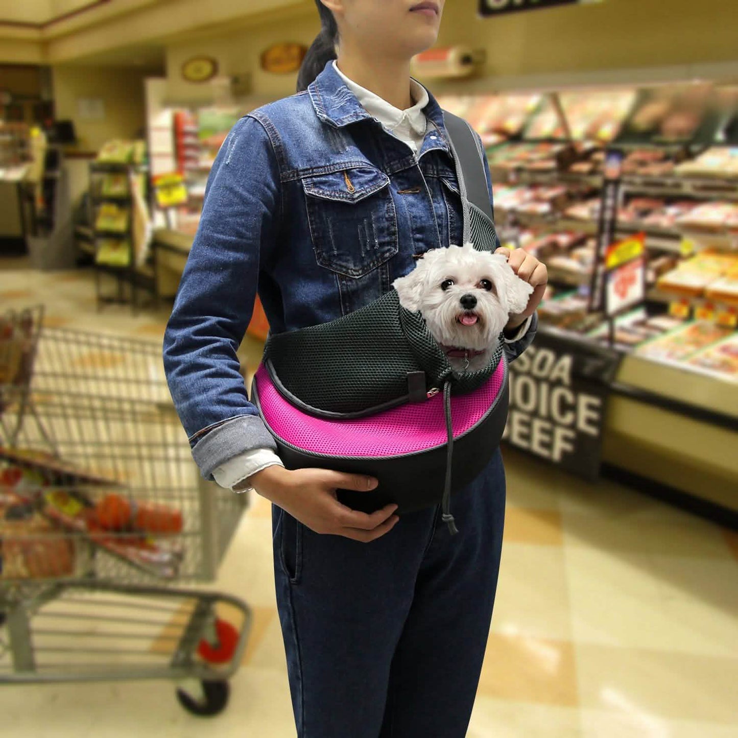 Pet Puppy Carrier DailySale