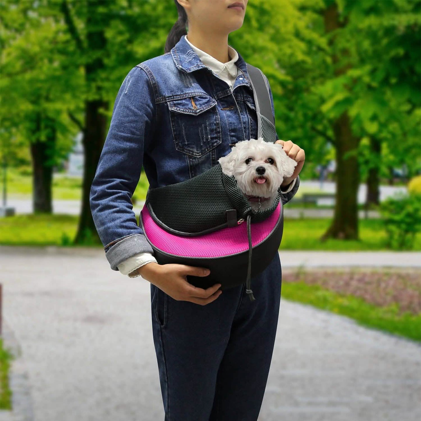 Pet Puppy Carrier DailySale