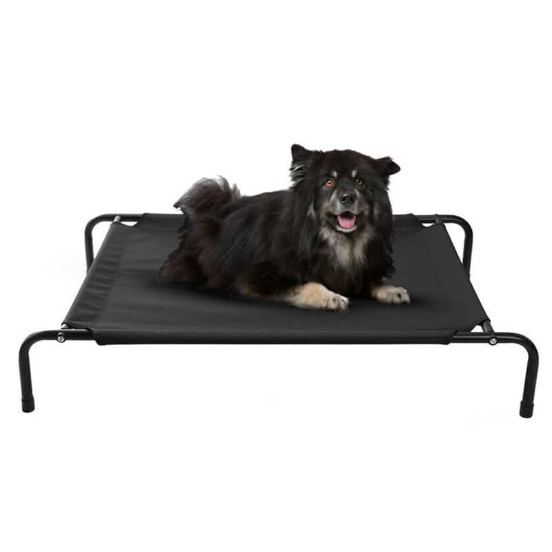 Cats and Dogs Elevated Pet Bed DailySale