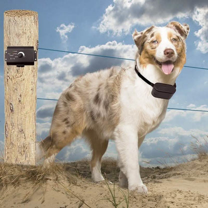 PetZoom Electric Dog Fence In-Ground Fencing System DailySale