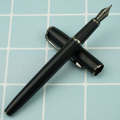 Picasso 916 Ring Fountain Pen DailySale