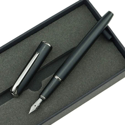 Picasso 916 Ring Fountain Pen DailySale