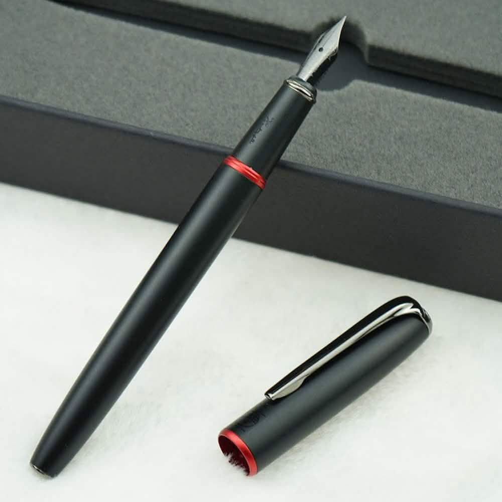 Picasso 916 Ring Fountain Pen DailySale