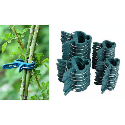 Plant Support Clips for Garden Vine to Grow Upright DailySale