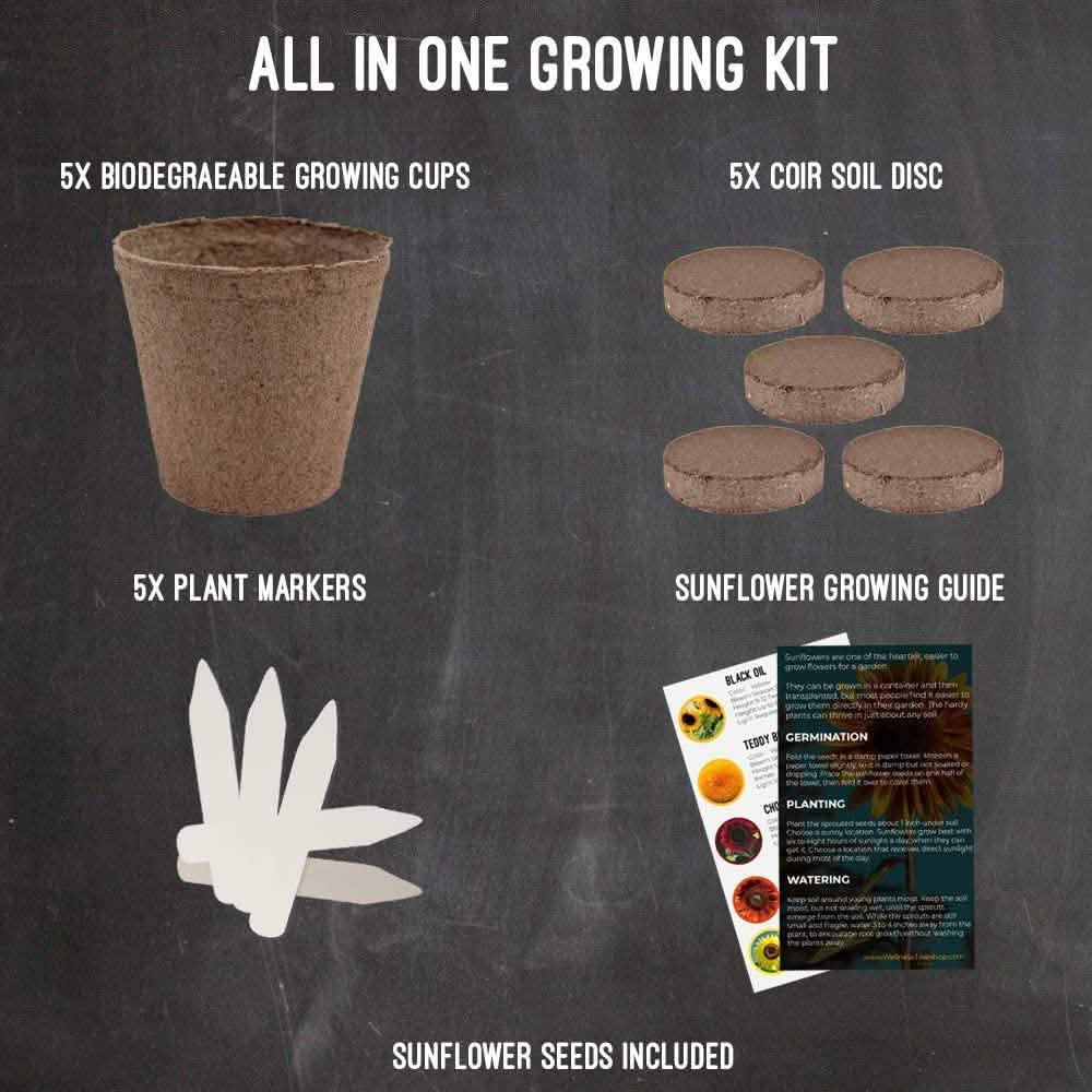 Plant Your Own Garden Grow Kit DailySale