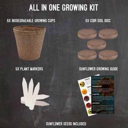 Plant Your Own Garden Grow Kit DailySale