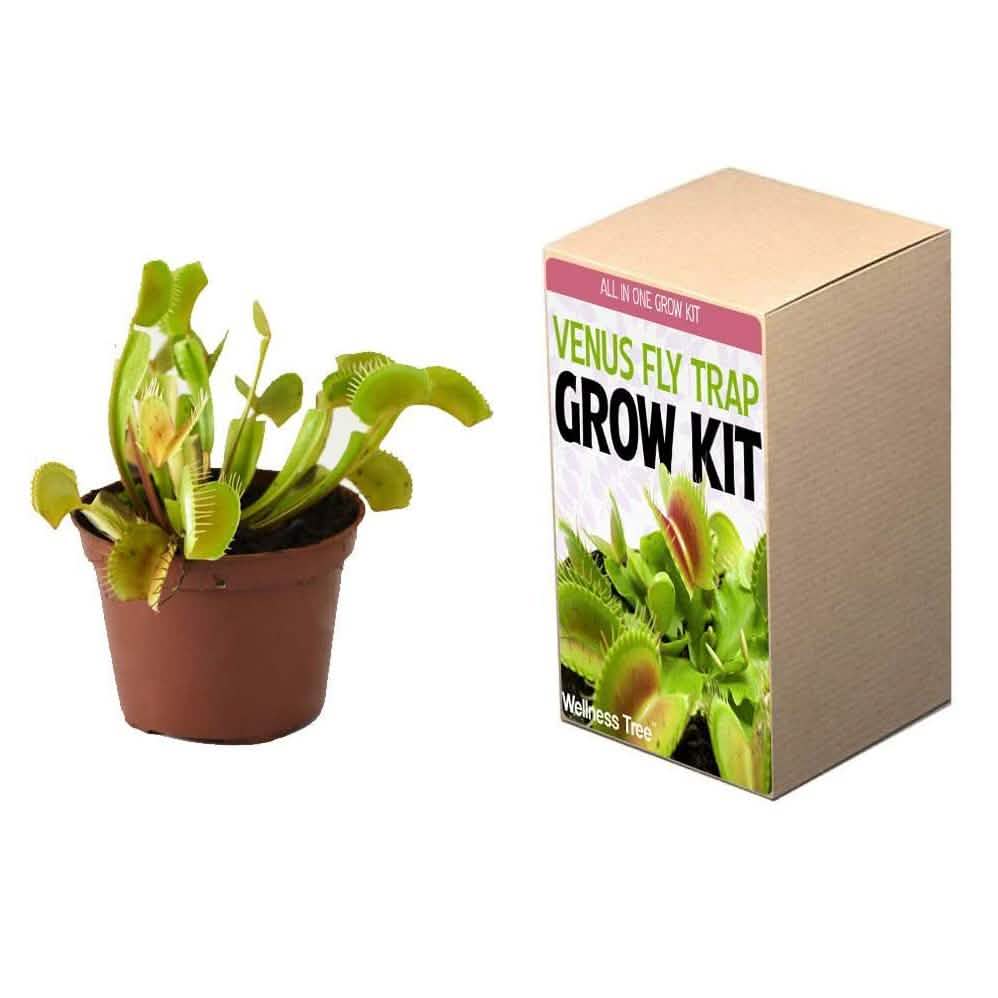Plant Your Own Garden Grow Kit DailySale